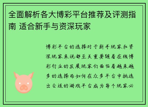 全面解析各大博彩平台推荐及评测指南 适合新手与资深玩家